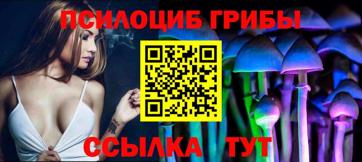Псилоцибиновые грибы Psilocybine cubensis Тихорецк