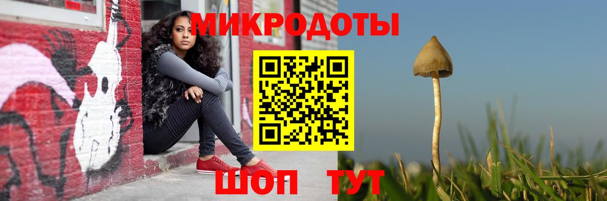Псилоцибиновые грибы GOLDEN TEACHER  Вход с VPN  Галлюциногенные грибы Magic Shrooms  Тихорецк 